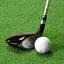Golfer Craft