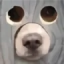 TakoLOL