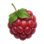 MCRaspi.com