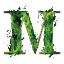Madness Gaming