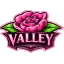 ValleyPvP