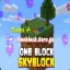One Block Skyblock