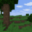 scriptwa survival