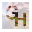 EvergroveMC